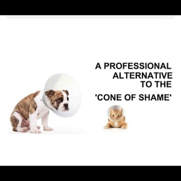 Cat Kitten Gray Camo Suitical Recovery Suit XXXS No more Cones ! Wound Surgical - Picture 2 of 3